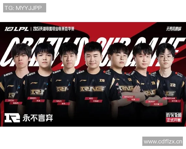 王者荣耀深度分析：RNG战队个人能力的崛起与影响