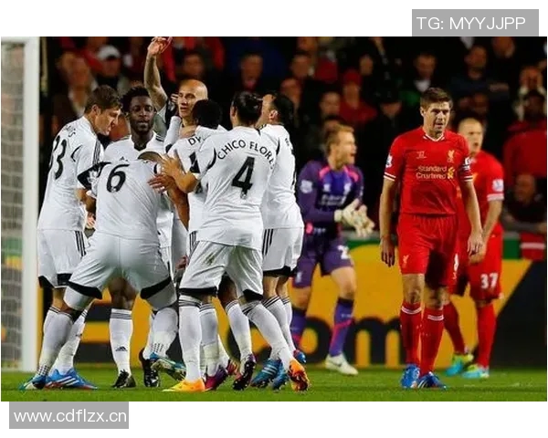 英超南海岸球队特色分析