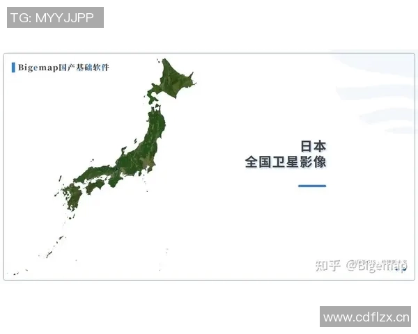 亚洲杯历史发展脉络与各国球队表现分析探讨 亚洲杯历史发展脉络与各国球队表现分析探讨